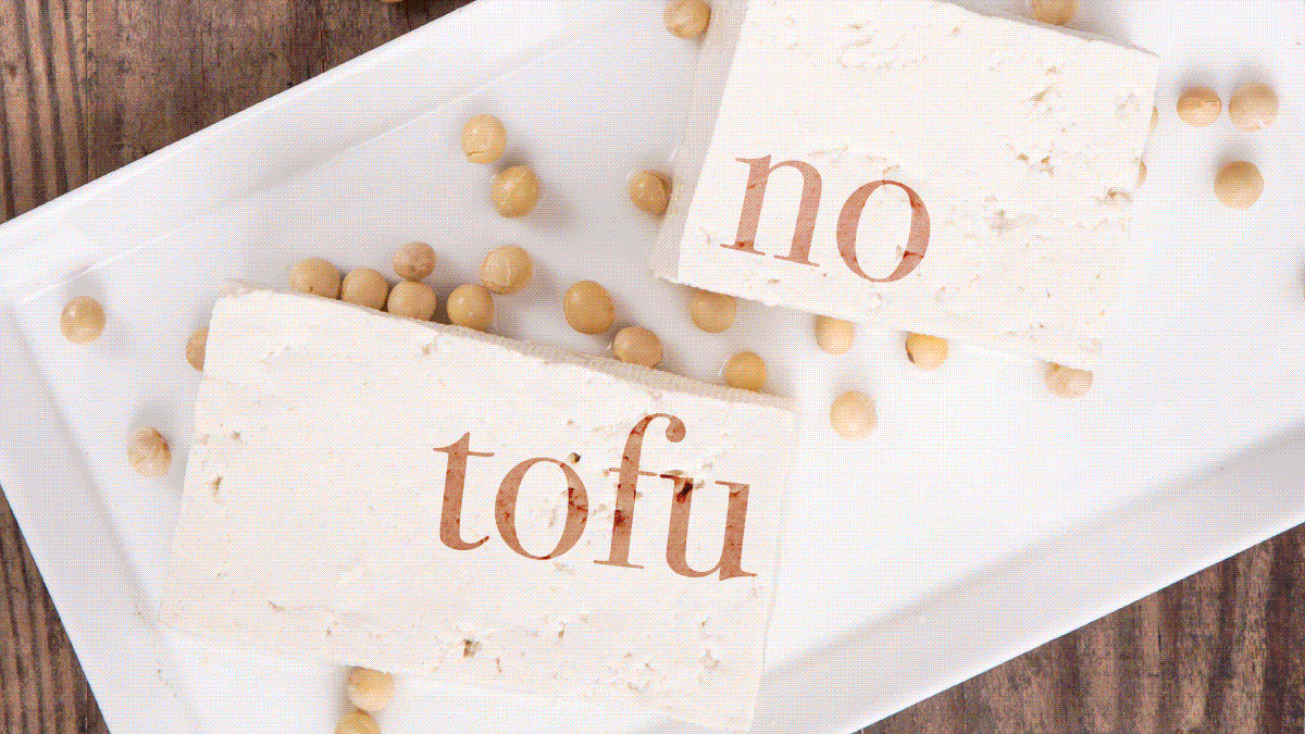 2 chunks of white tofu on a plate with the text 'No Tofu' written on them.